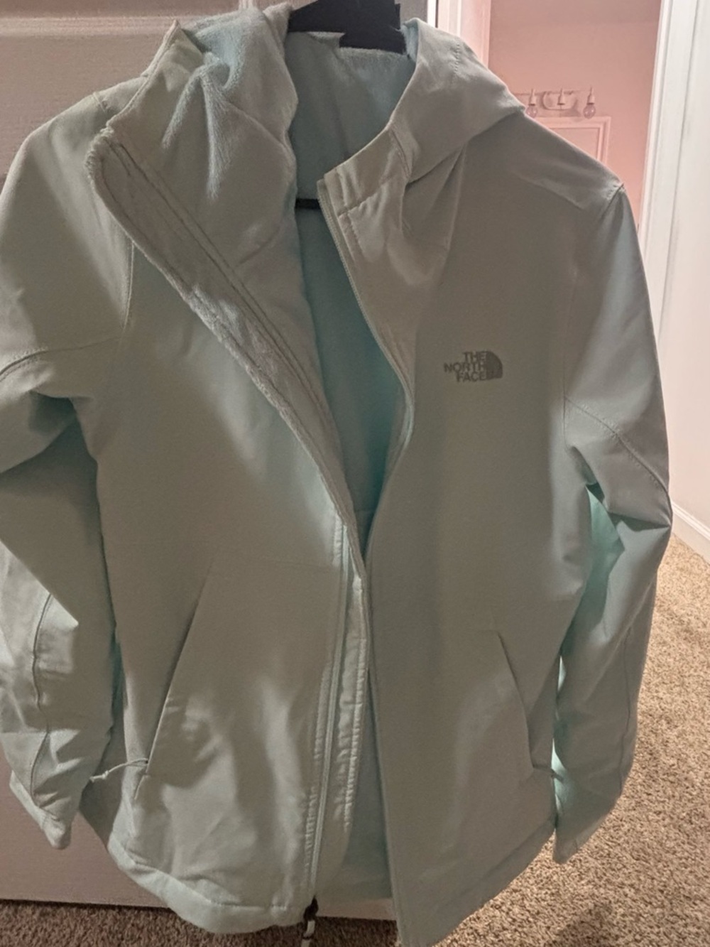 The North Face Women's Mint Green Ski Softshell Jacket